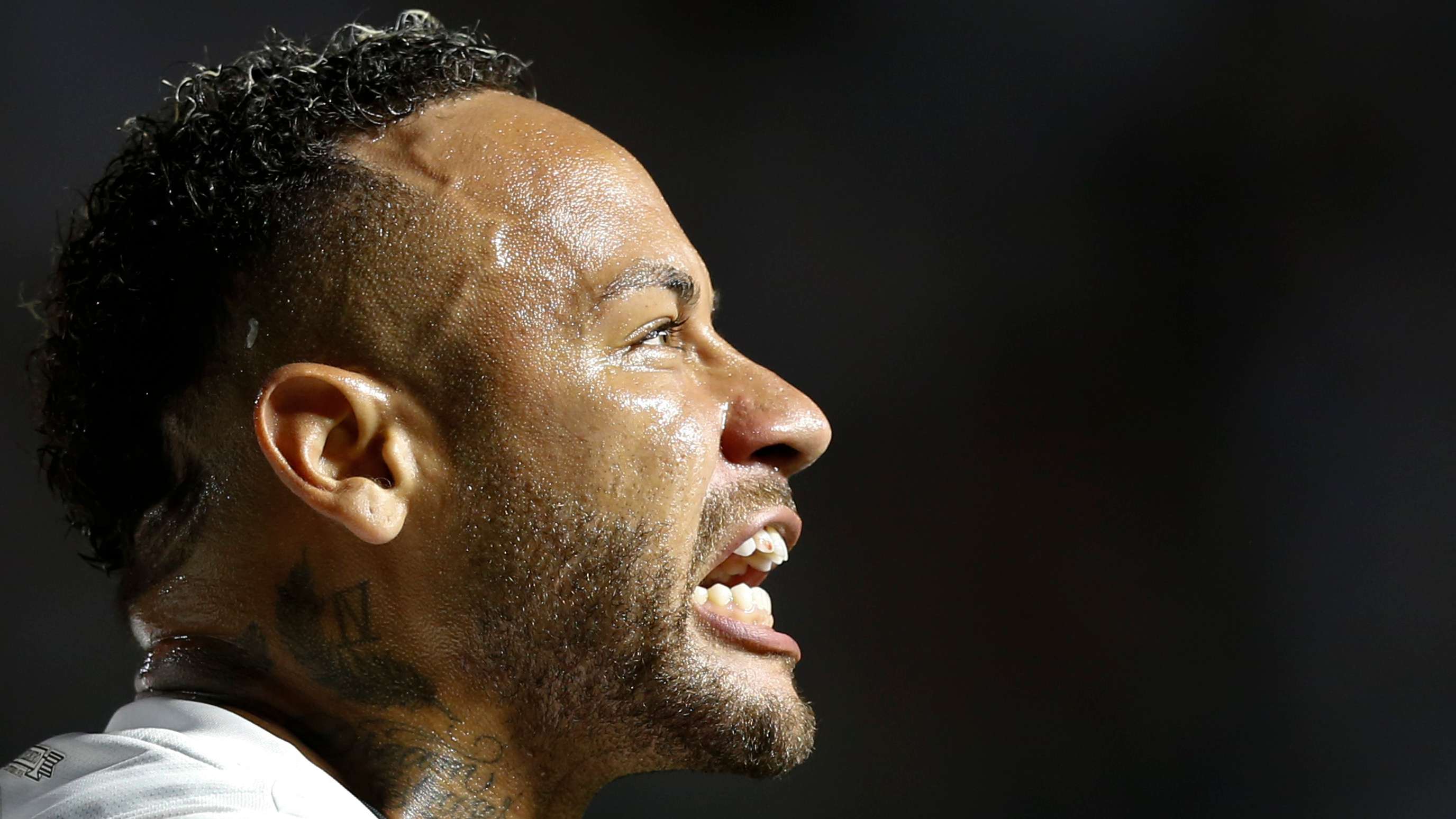 史地位与贡 史地位与贡