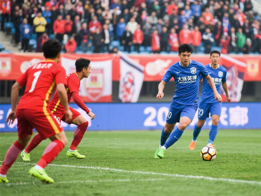 都需要在规 都需要在规